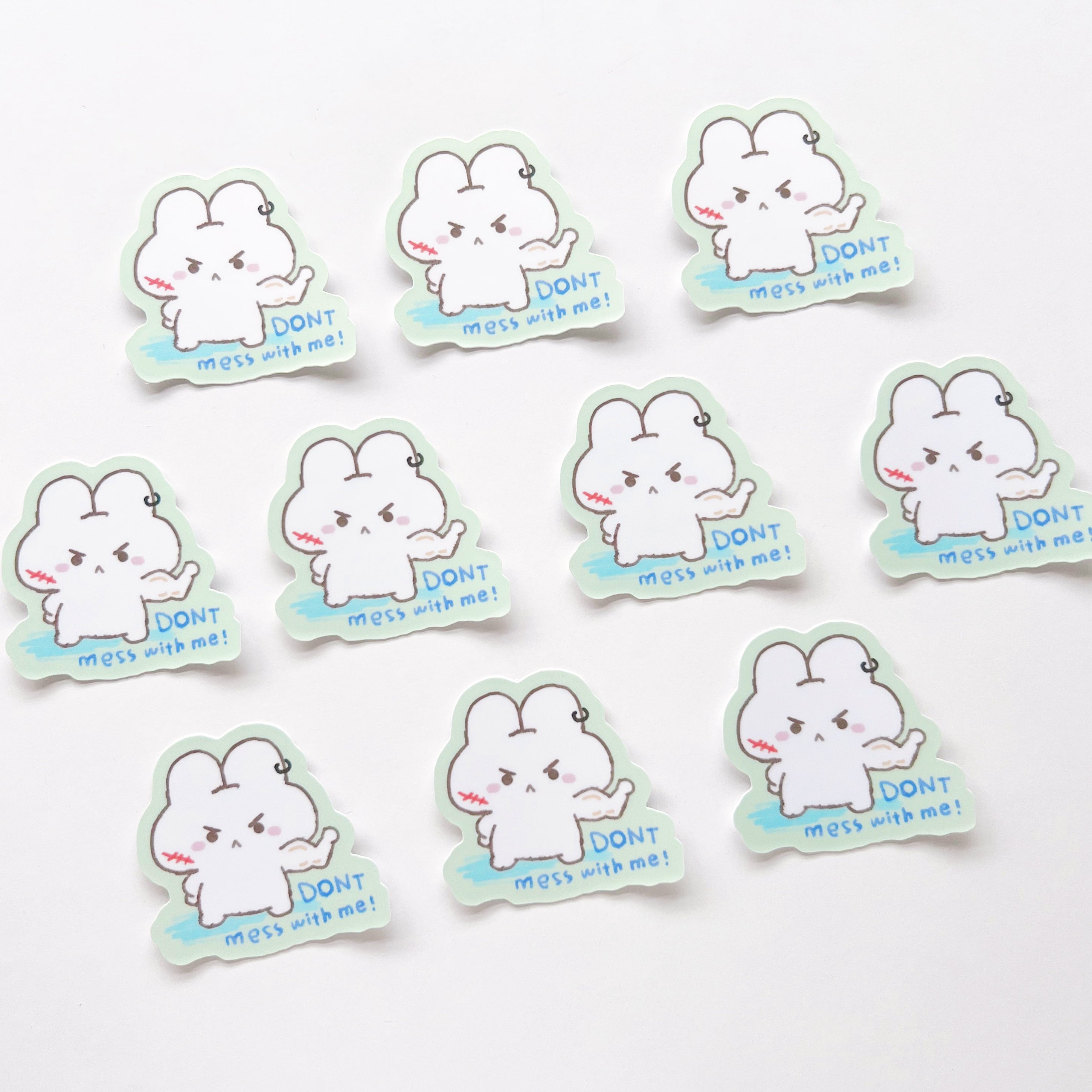 Don't Mess with Me Sticker