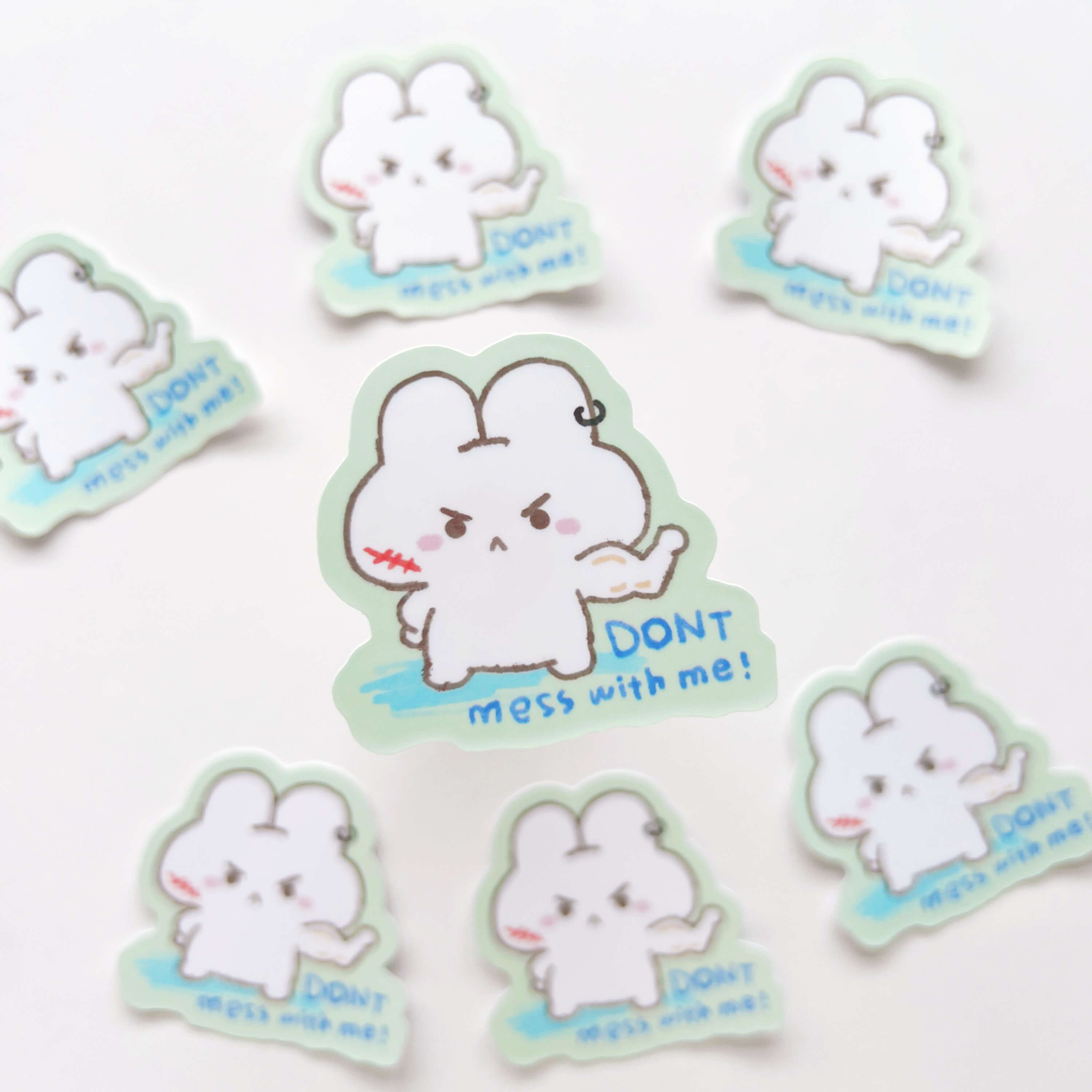 Don't Mess with Me Sticker